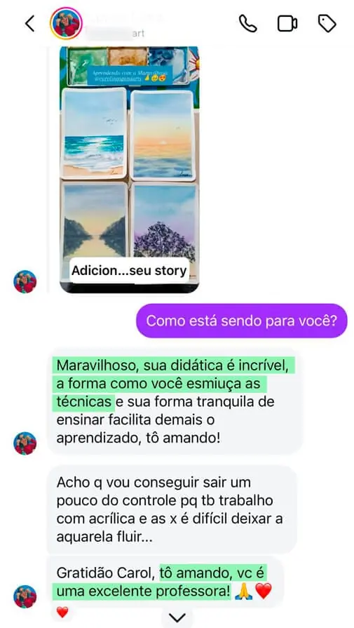 Conversa de aluna elogiando a didática do curso