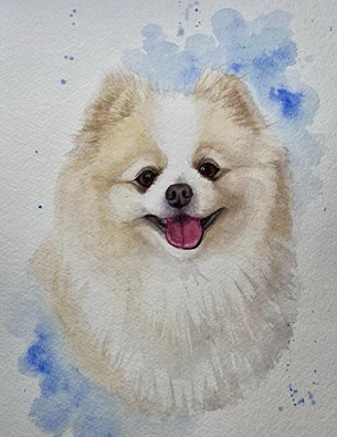 o14