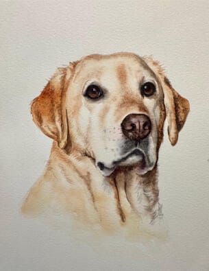 A3